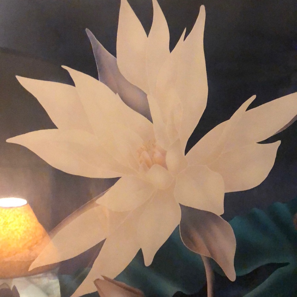 Meet your Posher, Jeanne